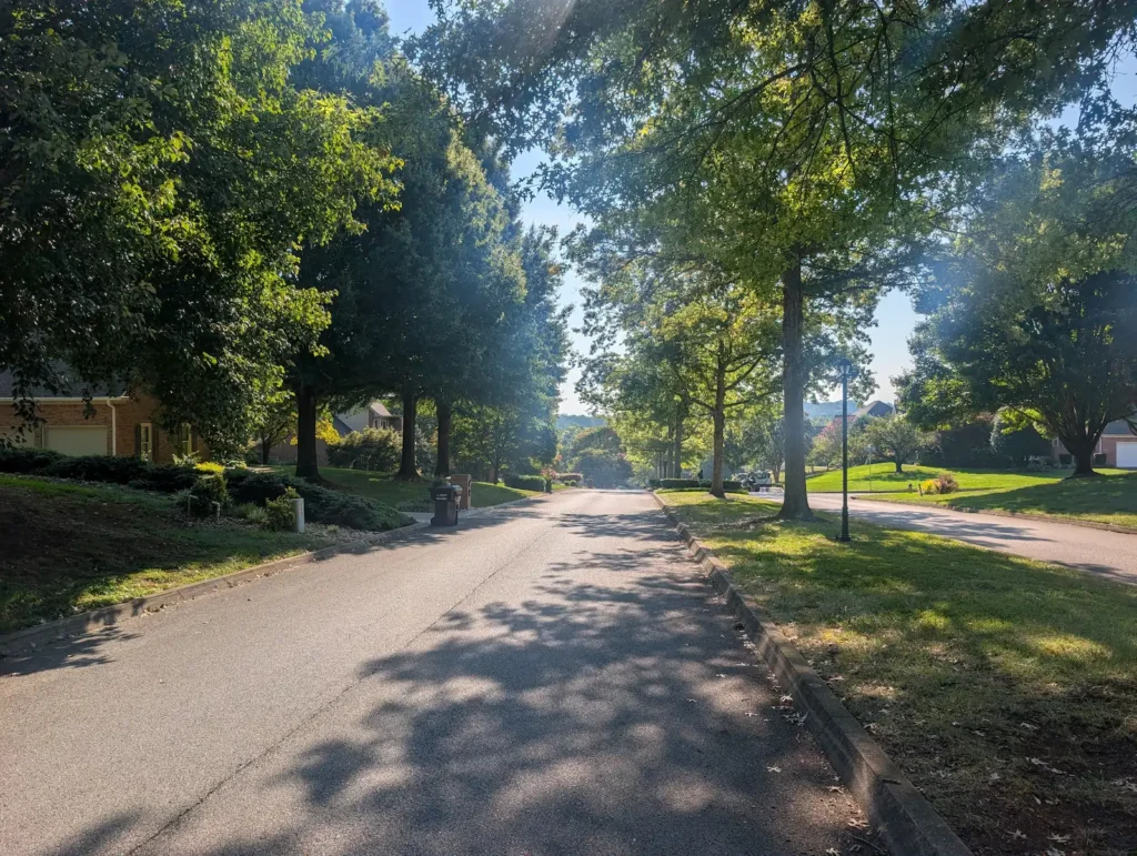 Mature trees lining a residential street in Farragut, TN